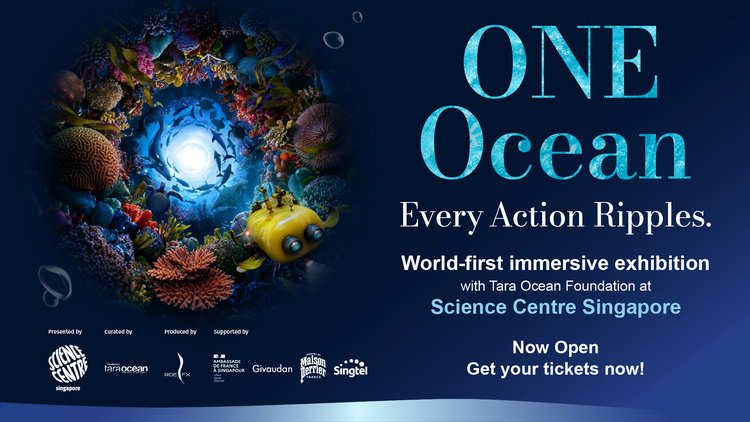 ONE Ocean: Every Action Ripples