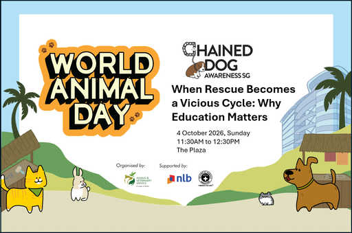 World Animal Day: When Rescue Becomes a Vicious Circle: Why Education Matters