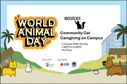 World Animal Day: Community Cat Caregiving on Campus