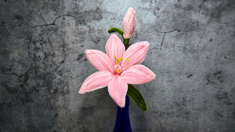 Get Crafty! – Lily Pipe Flowers by Happy Hands Can