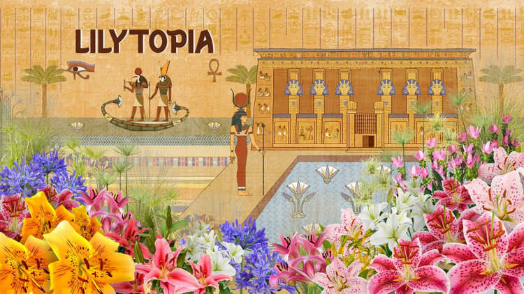 Lilytopia