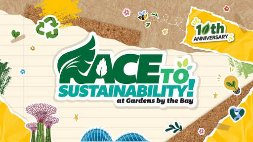 Race to Sustainability! 2026