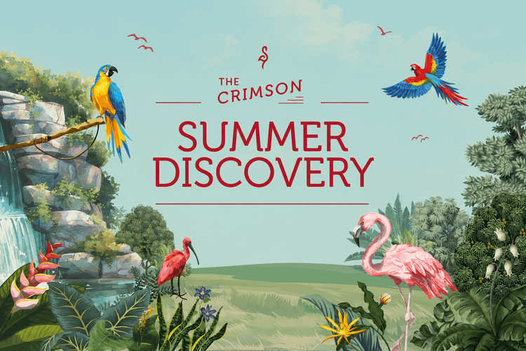 Crimson Summer Discovery