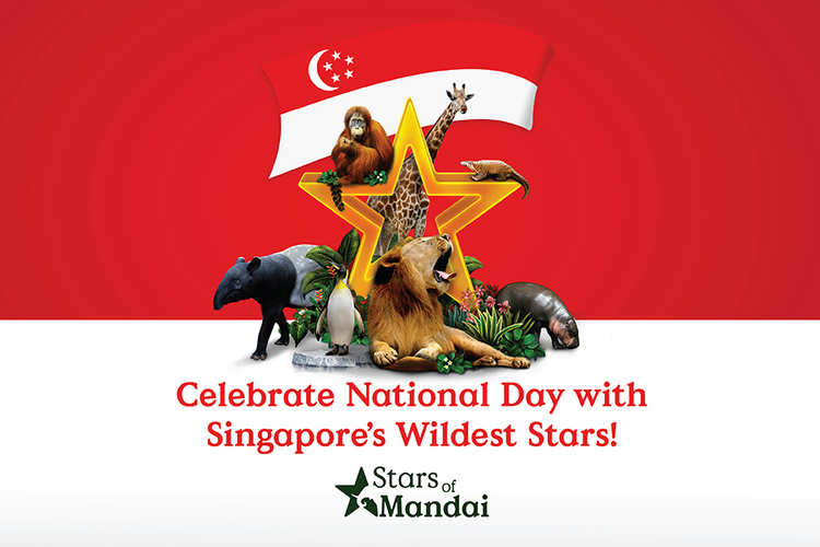 Celebrate Singapores Wildest Stars