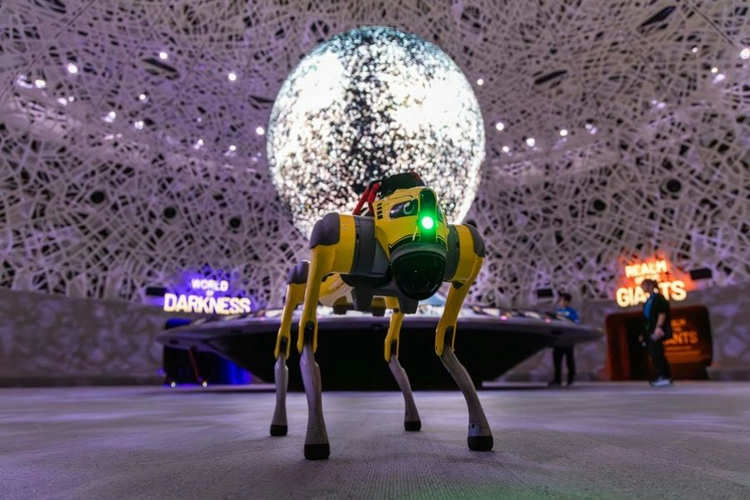 AI Robodogs Now at Exploria & Curiosity Cove