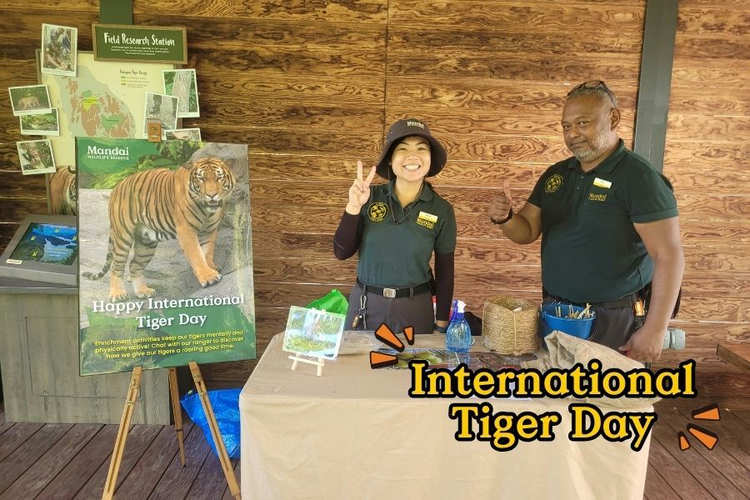 Tiger-ific Enrichment Booth