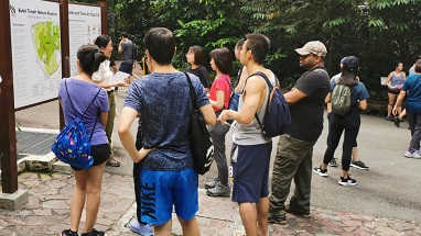 Nature Appreciation Walk at Bukit Timah Nature Reserve
