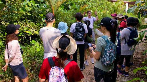 Nature Guided Walk at Rifle Range Nature Park