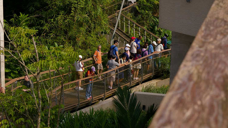 Nature Guided Walk at Rifle Range Nature Park