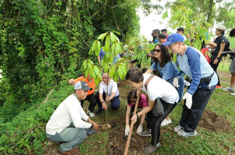 Donation of $300 per tree: Plant-A-Tree Programme at Serangoon North Ave 1 on 22 May 2026