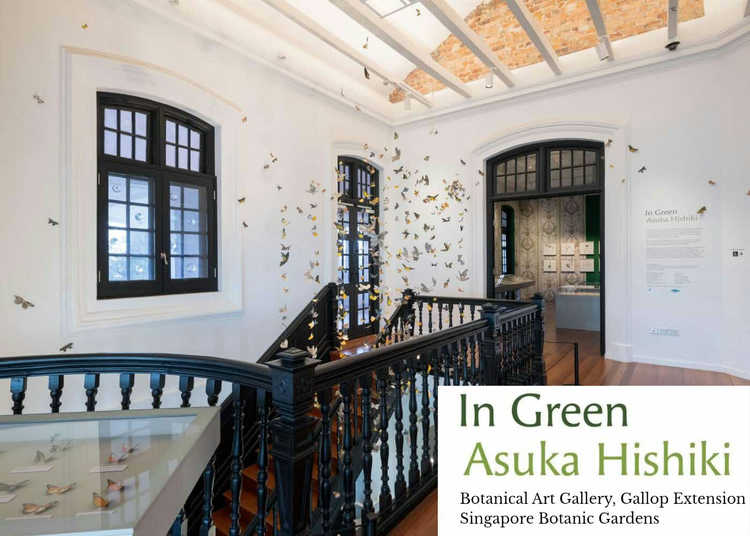 In Green - Asuka Hishiki