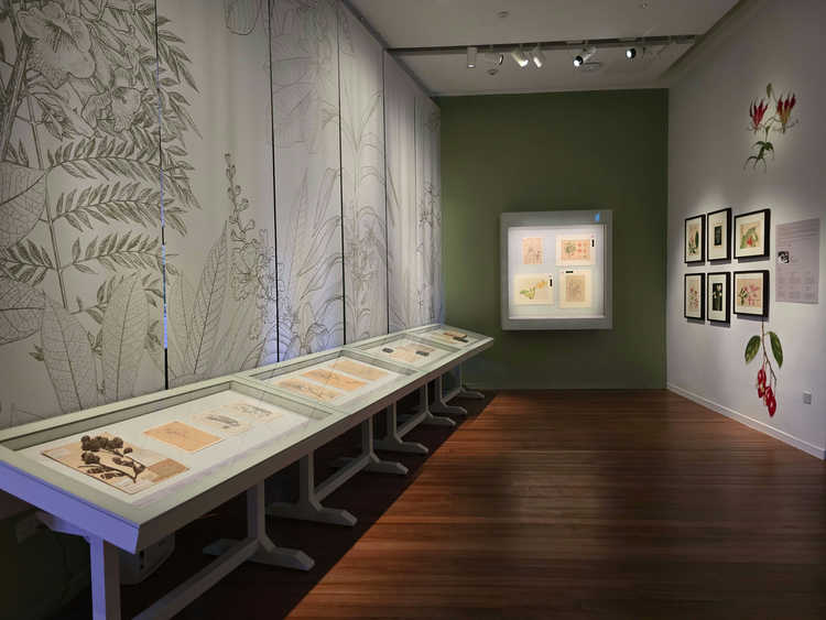 Botanical Art Gallery Exhibition Tour (Heritage Festival 2026)