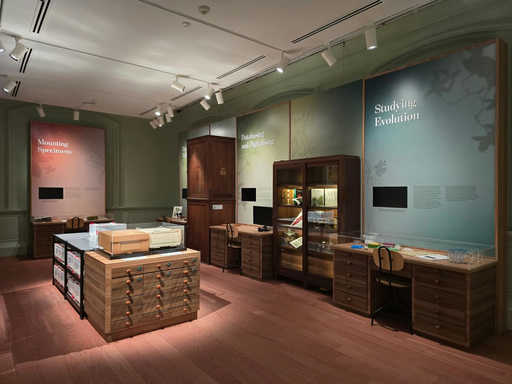 Pressing Plant Matters: 150 Years of the Singapore Herbarium
