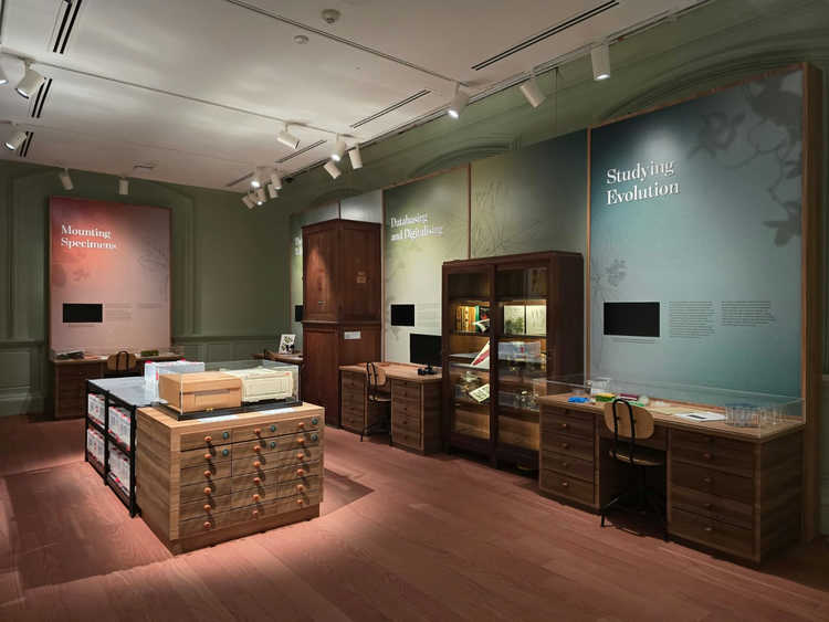 Pressing Plant Matters: 150 Years of the Singapore Herbarium