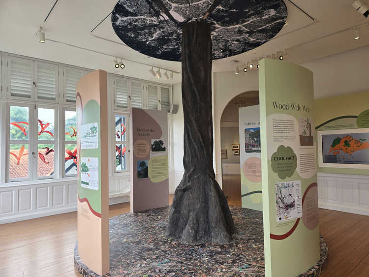 Trees Create Forests @ Forest Discovery Centre