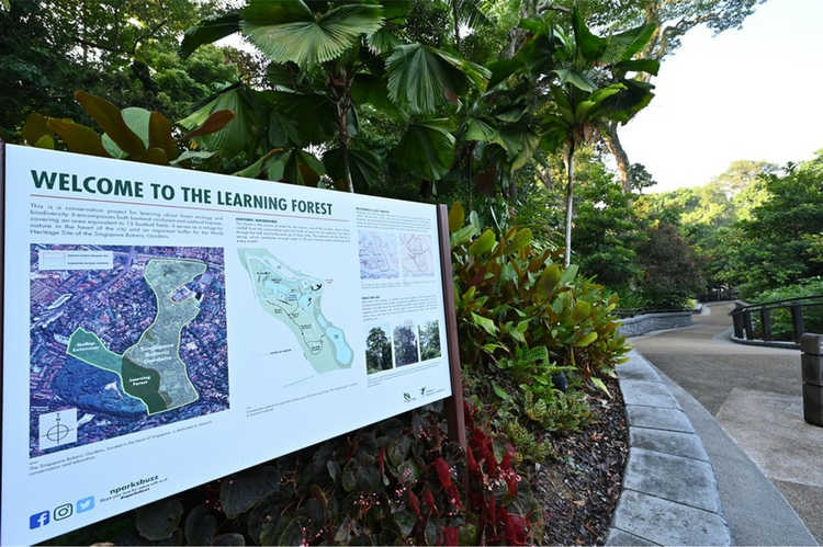 Learning Forest (Heritage Festival 2026)