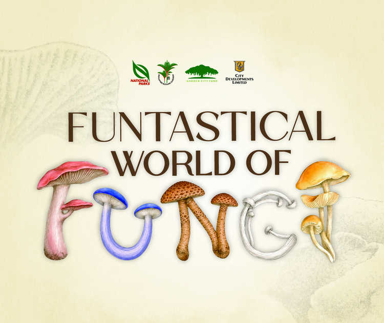 Funtastical World of Fungi