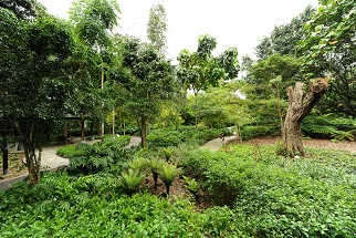 Healing Garden Tour