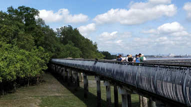 Guided Walk in Japanese