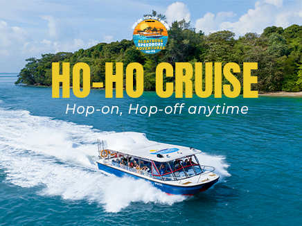Albatross Hop-On Hop-Off Speedboat Pass (1-Day with Unlimited Speedboat Rides)