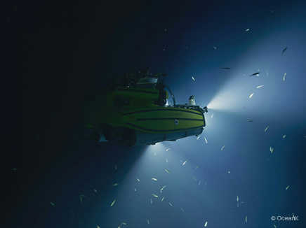 ArtScience Museum at Marina Bay Sands ® Into the Ocean: Journey Beneath