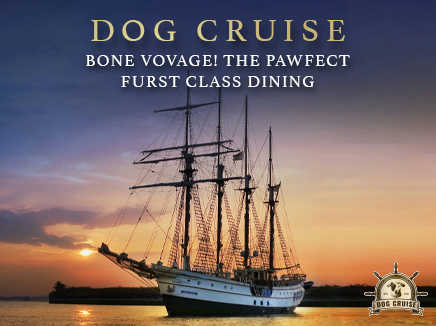 Dog Cruise Onboard Royal Albatross
