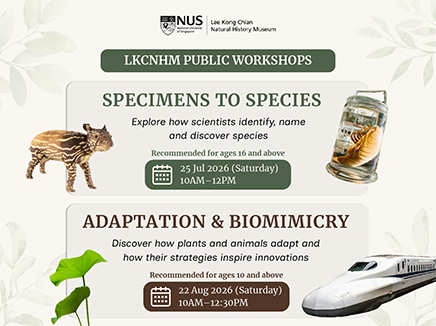 LKCNHM Public Workshops 2026
