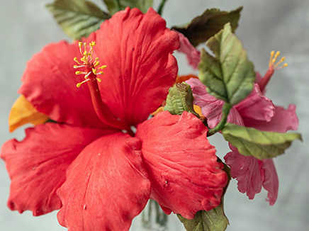 Create Edible Tropical Flowers - Hibiscus & Bougainvilleas