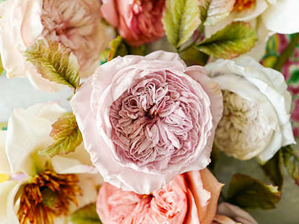 Create Your Own Edible Flower - Leonardo da Vinci Rose