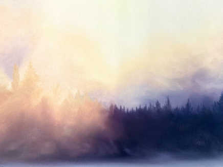 Oil Painting Experience (Alla Prima)