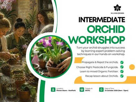 Orchid Workshop for Intermediate (Flower Room @ Hortpark)